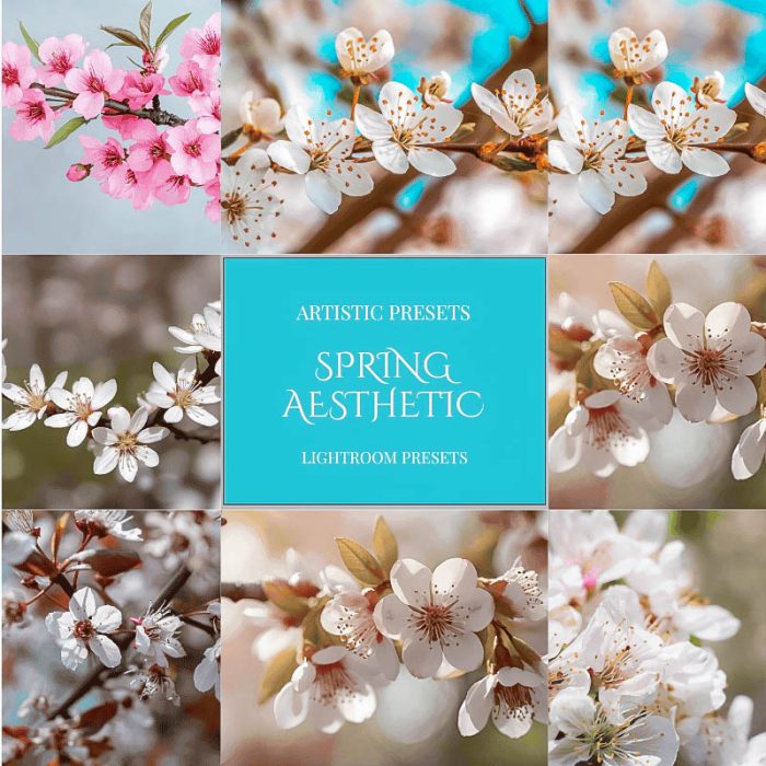 Spring Aesthetic Lightroom Presets