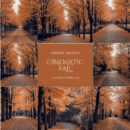 Cinematic Fall Lightroom Presets