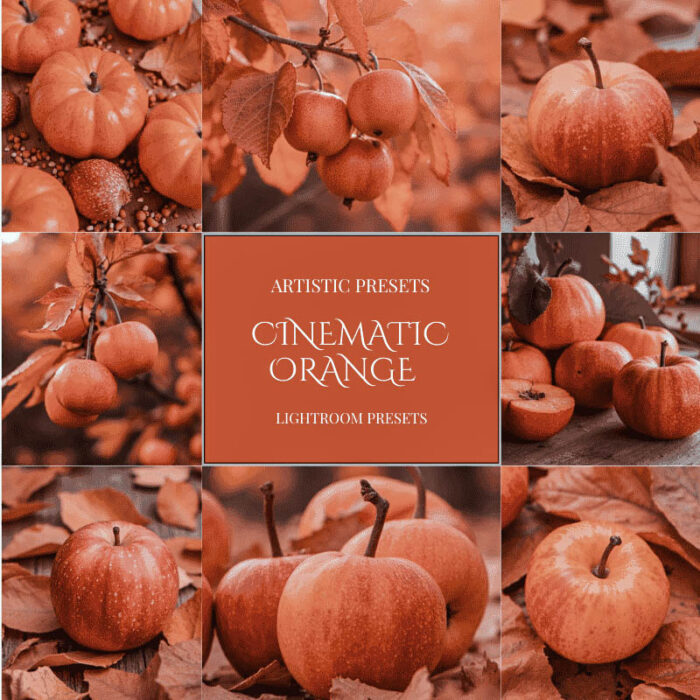 Cinematic Teal And Orange Presets